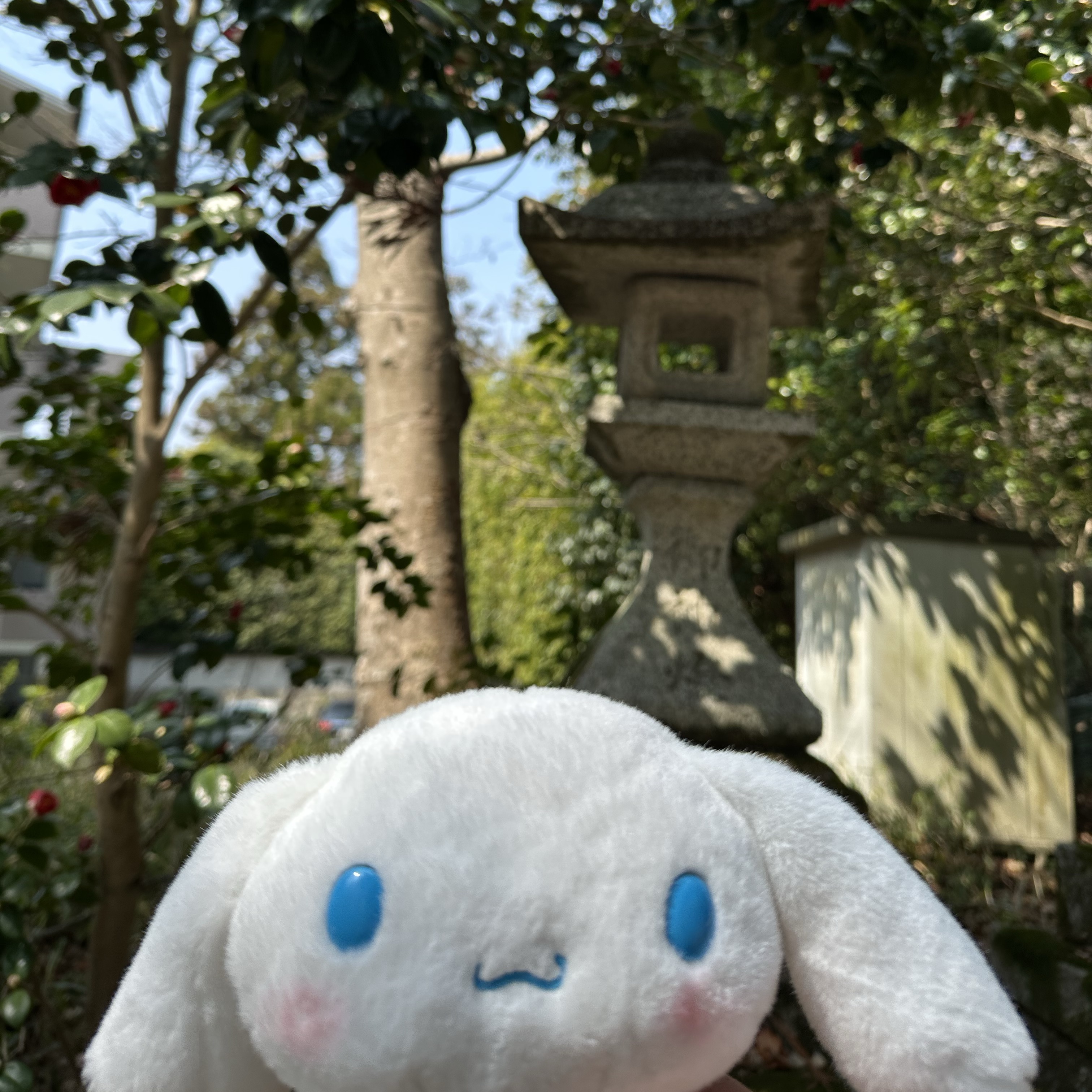 シエル